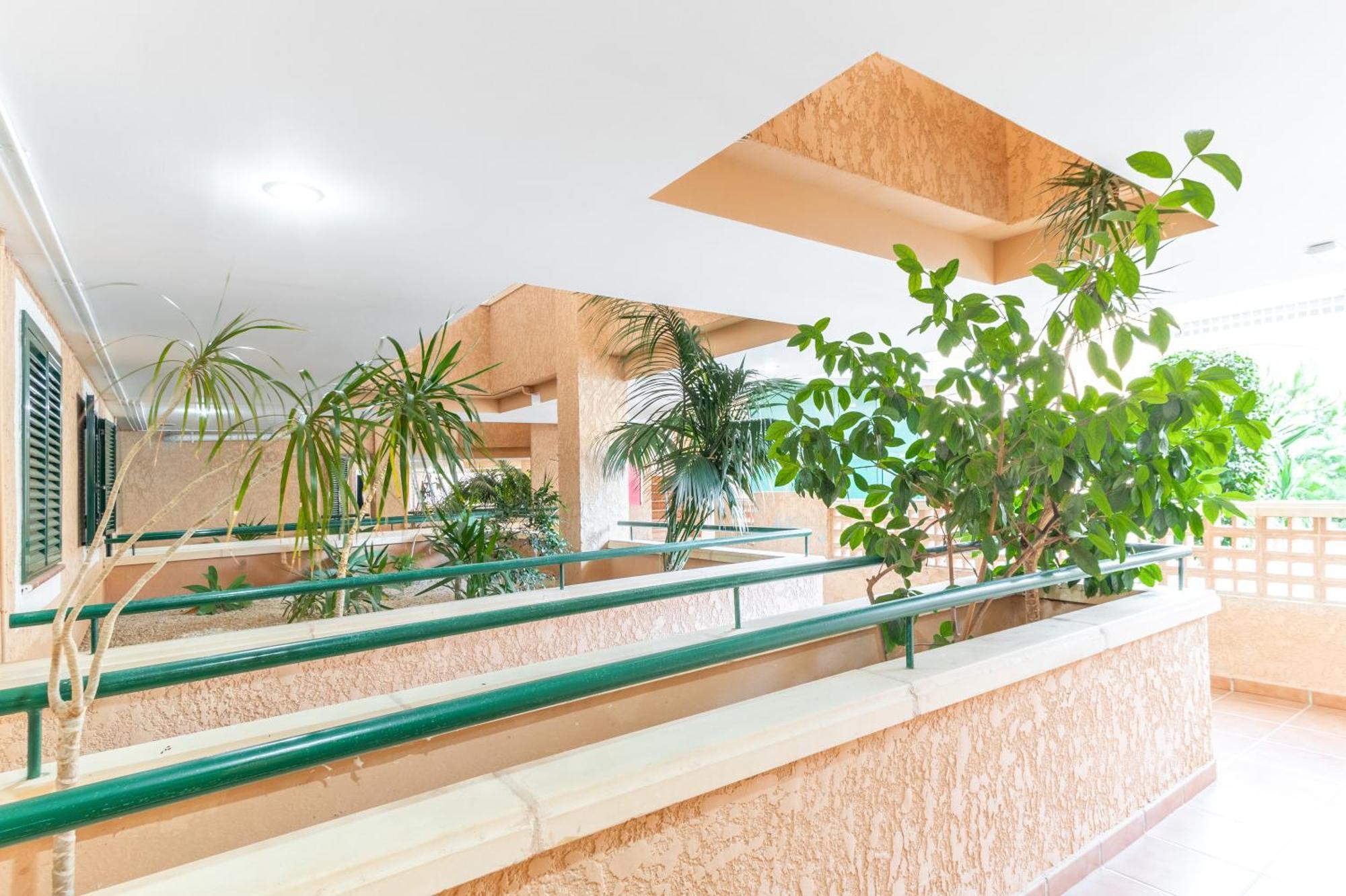 Magnificent Penthouse Alteamascarat Διαμέρισμα Εξωτερικό φωτογραφία